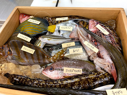 イベントレポート③